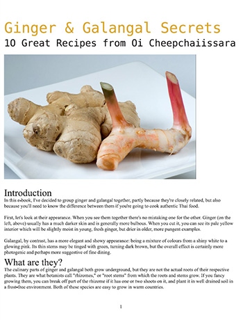 Ginger and Galangal Secrets